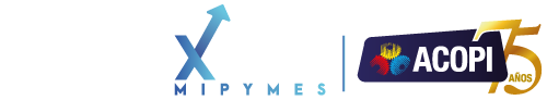 Conexión Mipymes ACOPI
